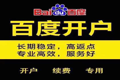 竞价SEM助力电商平台快速提升流量